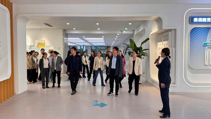 图示, 示意图
中度可信度描述已自动生成:ver1